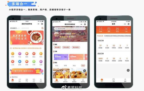 北京麦盟科技 小程序 app 开发的璀璨之星