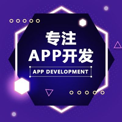 郑州原生APP开发公司价格便宜双轨三轨销售NN复制软件开发定制