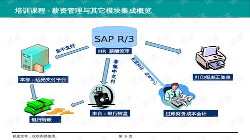 01199某电力公司人力资源管理erp系统培训教材 薪资管理 ppt82页 .ppt 互联网文档类资源 csdn下载